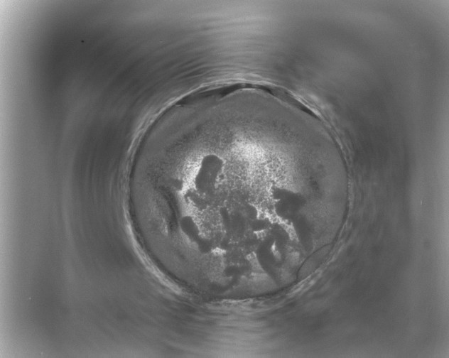 X0000070860049200606302056