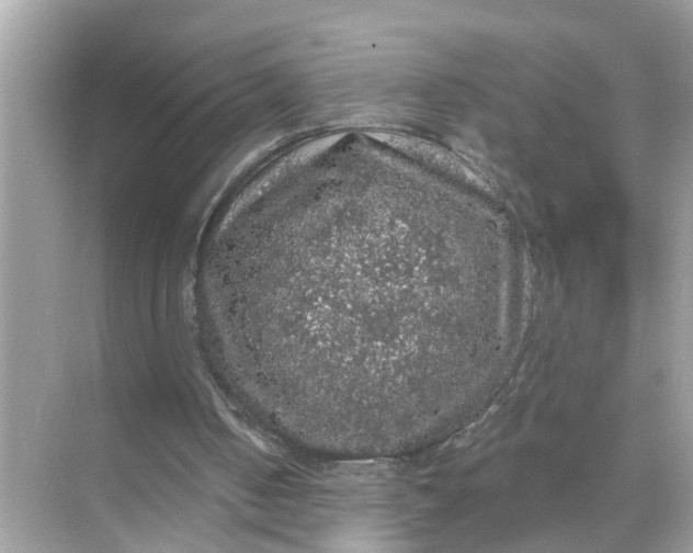 X0000070860050200606302056