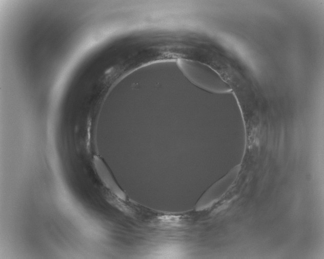 X0000070860052200606302056