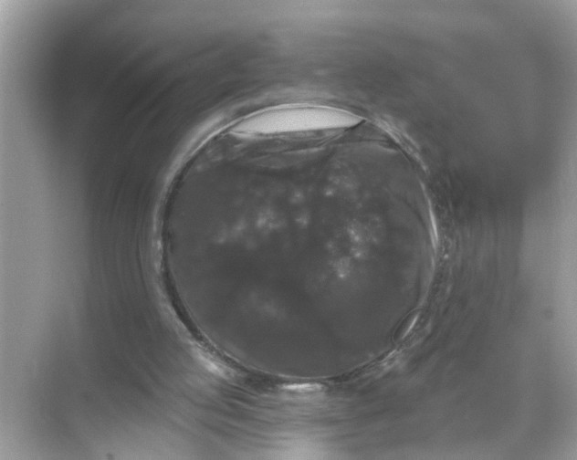 X0000070860053200606302056