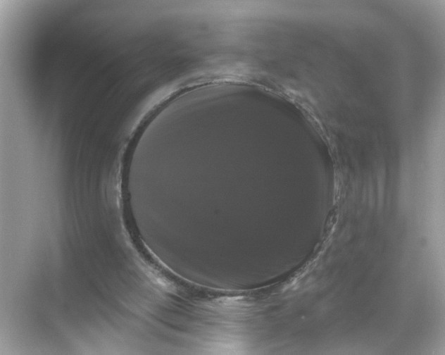 X0000070860054200606302056