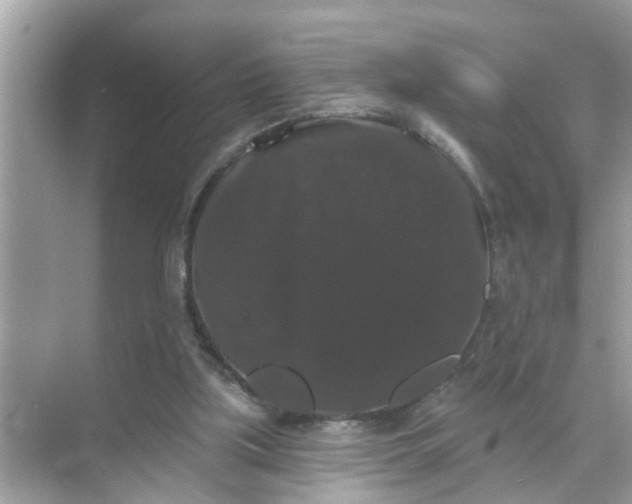 X0000070860059200606302056