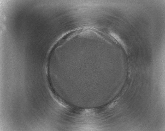 X0000070860060200606302056