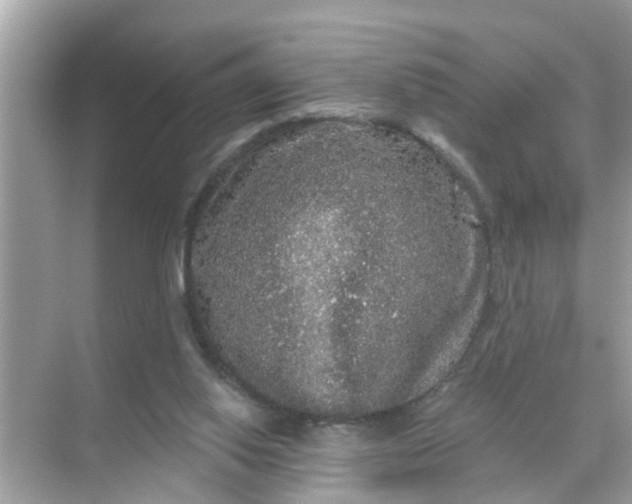 X0000070860062200606302056