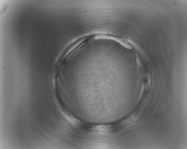 X0000070860064200606302056