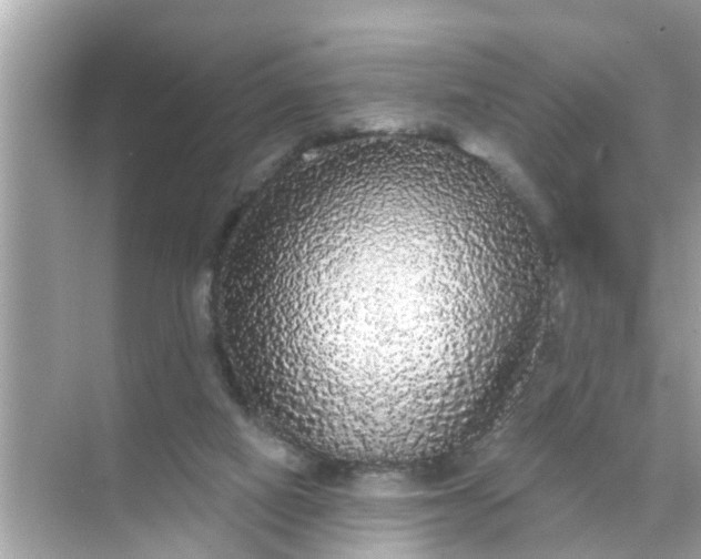 X0000070860066200606302056