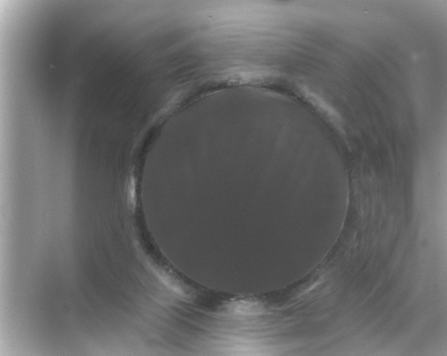 X0000070860067200606302056