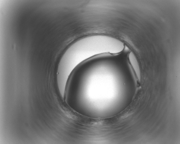 X0000070860068200606302056