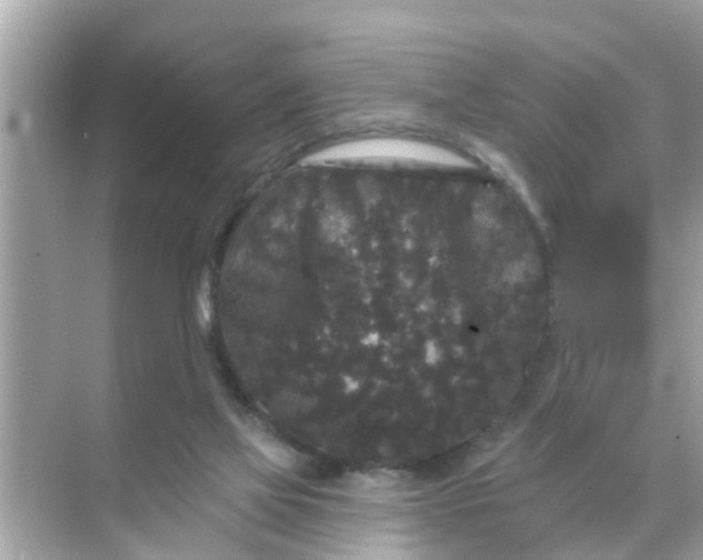 X0000070860069200606302056