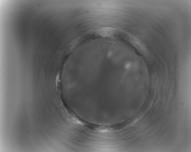 X0000070860073200606302056