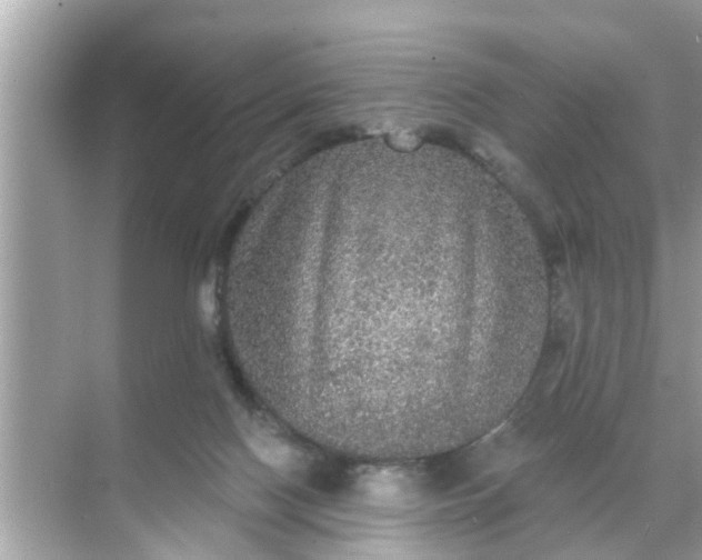 X0000070860074200606302056