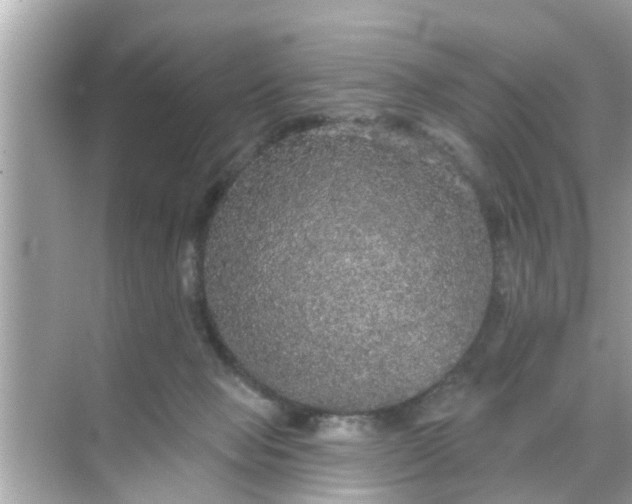 X0000070860077200606302057