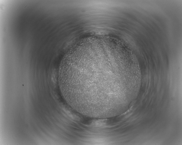 X0000070860078200606302057