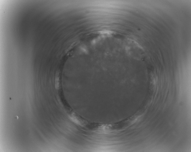 X0000070860080200606302057