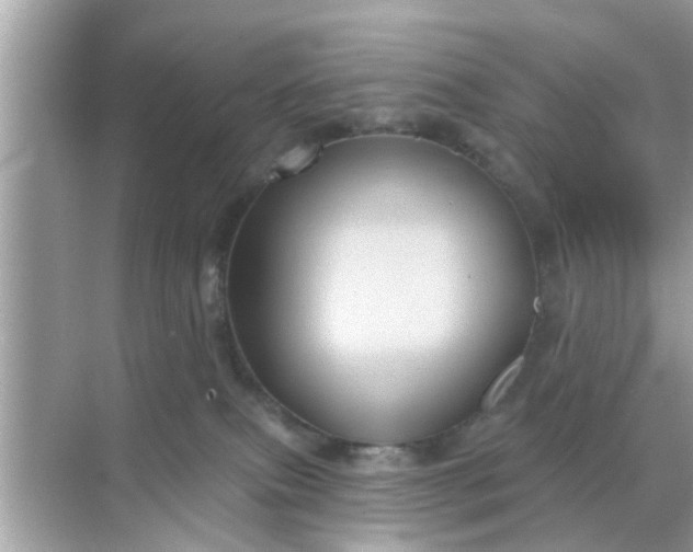 X0000070860087200606302057