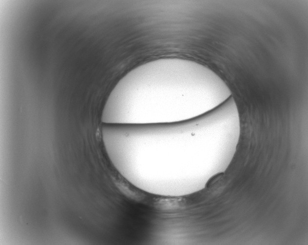 X0000070860089200606302057