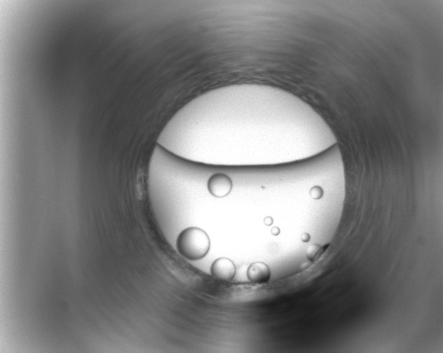 X0000070860090200606302057