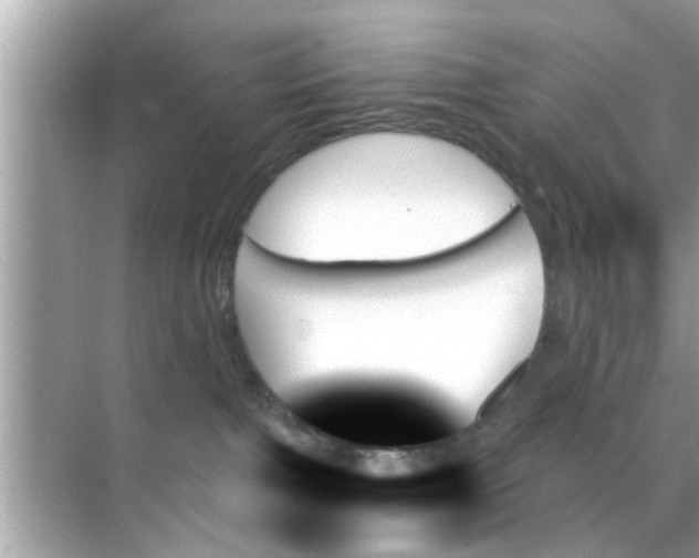 X0000070860091200606302057