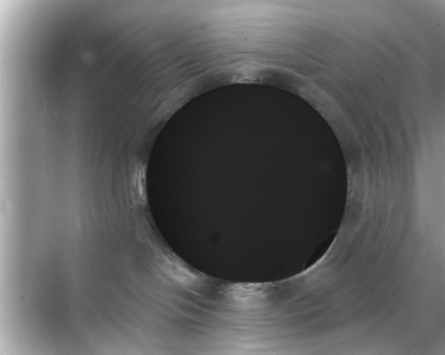 X0000070860094200606302057