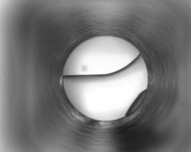 X0000070860095200606302057