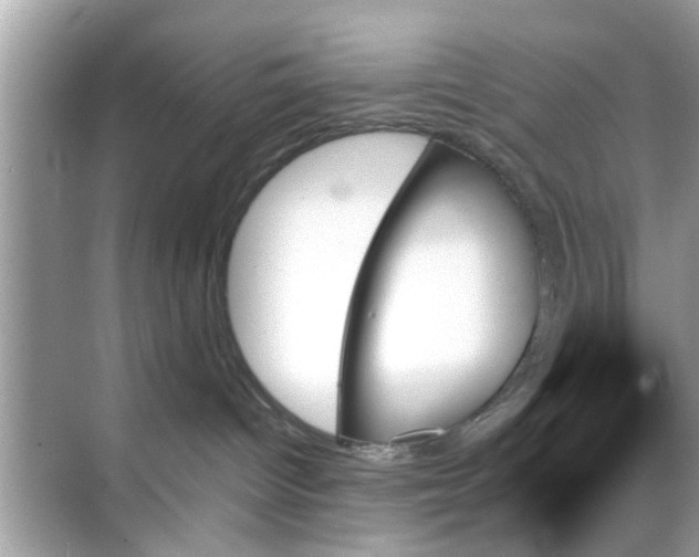 X0000070860096200606302057