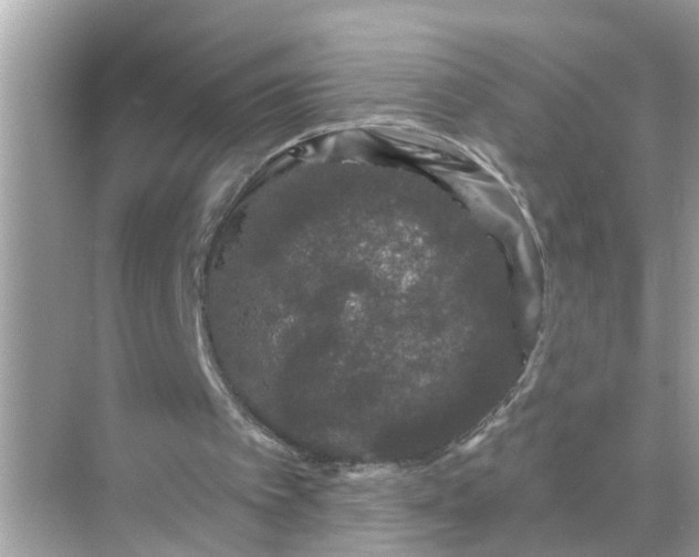 X0000070860097200606302056