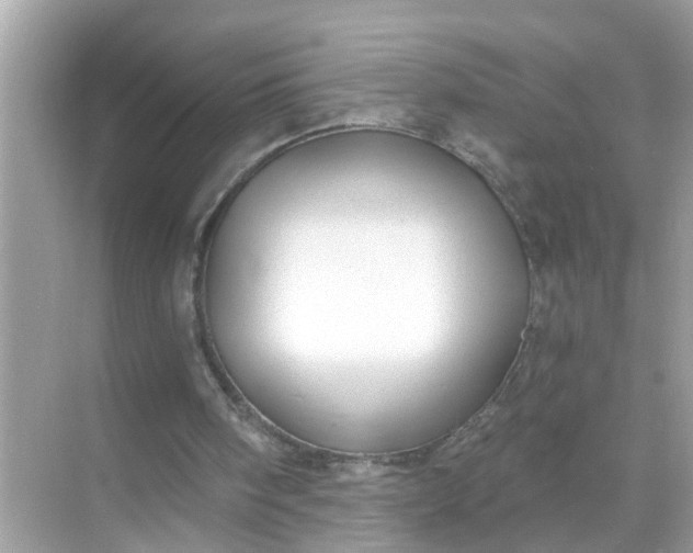 X0000070860098200606302056