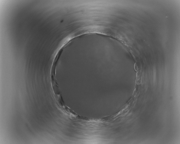 X0000070860099200606302056