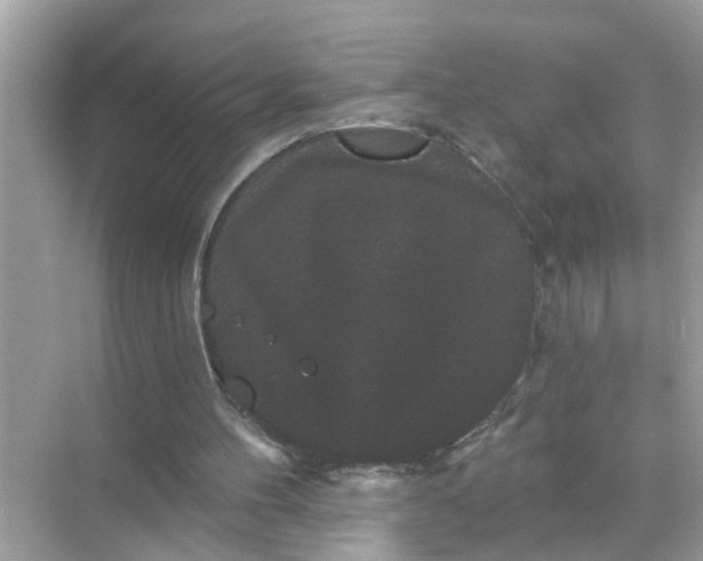 X0000070860100200606302056