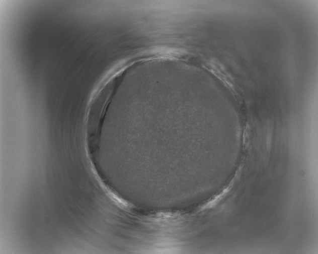 X0000070860101200606302056