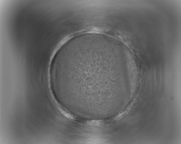 X0000070860102200606302056