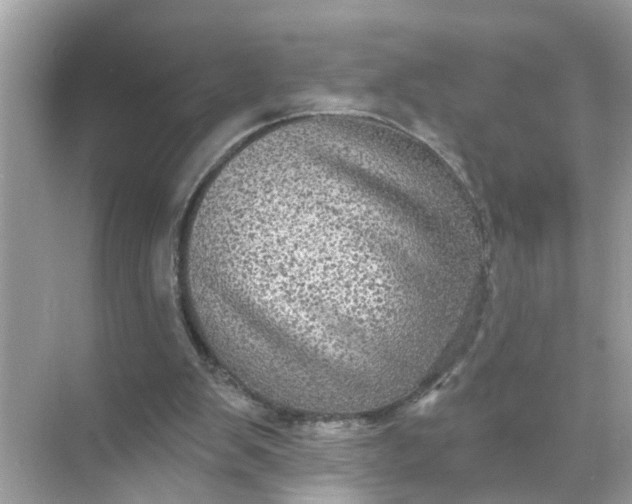 X0000070860103200606302056