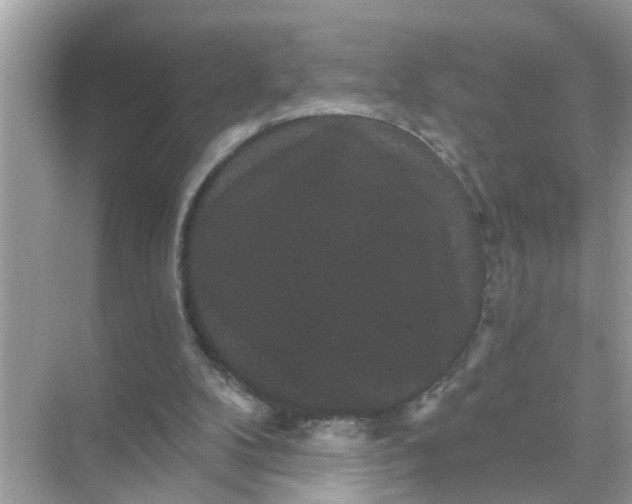 X0000070860104200606302056