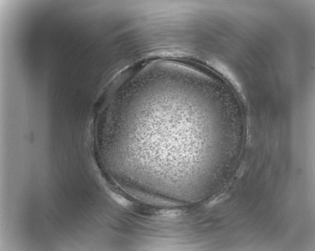 X0000070860105200606302056