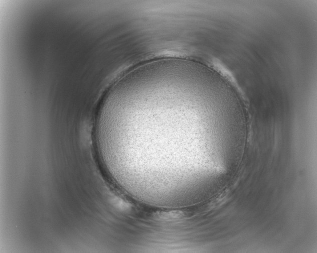 X0000070860106200606302056