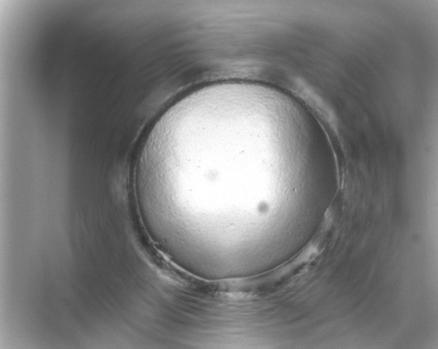 X0000070860107200606302056