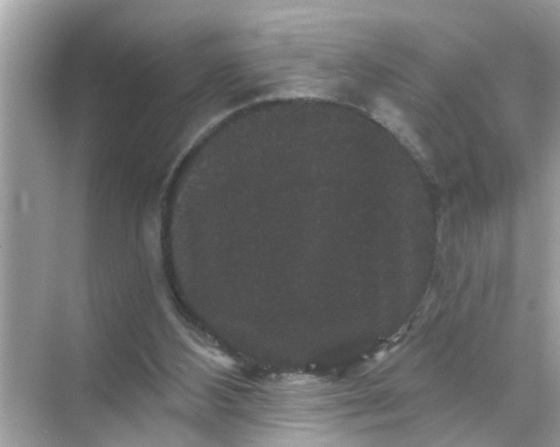 X0000070860108200606302056