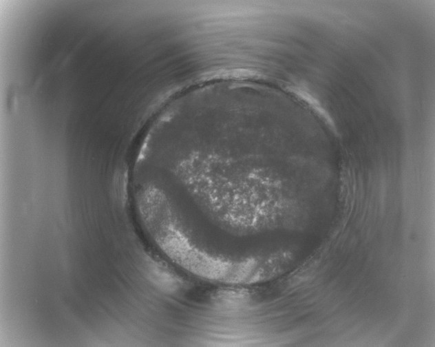 X0000070860110200606302056