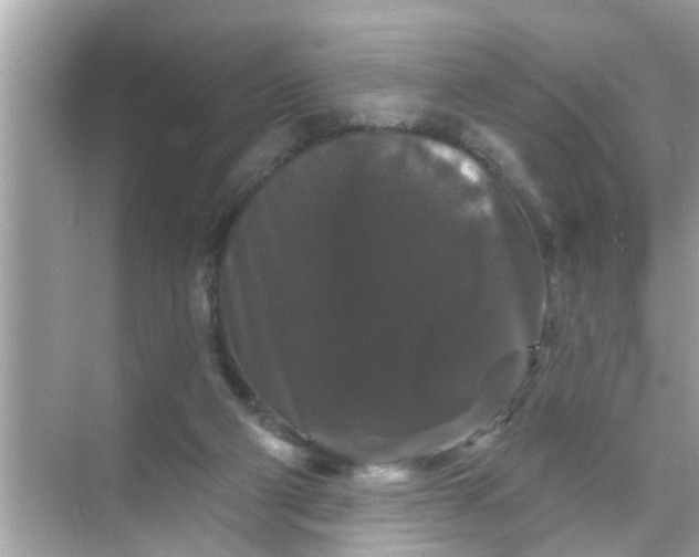 X0000070860114200606302056