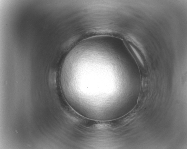 X0000070860115200606302056