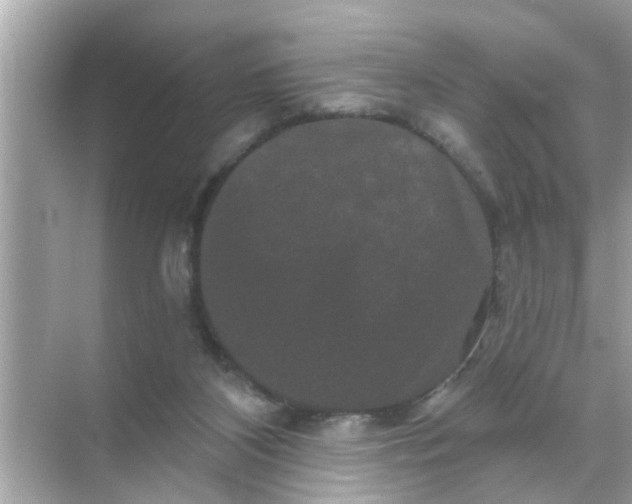 X0000070860116200606302056