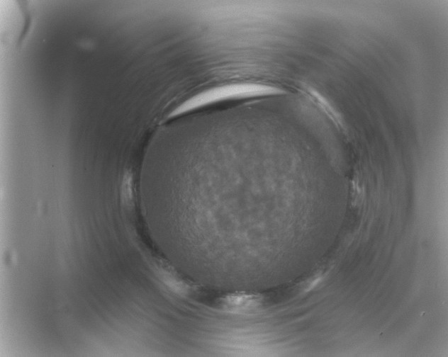 X0000070860117200606302056