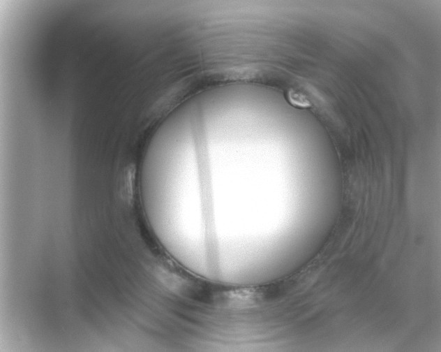 X0000070860118200606302056