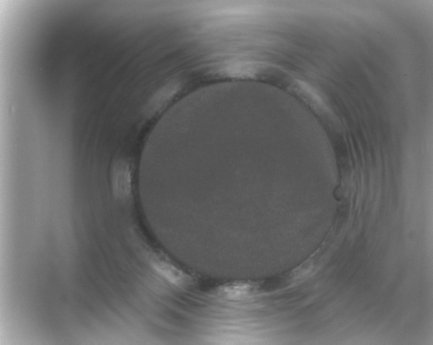 X0000070860120200606302056