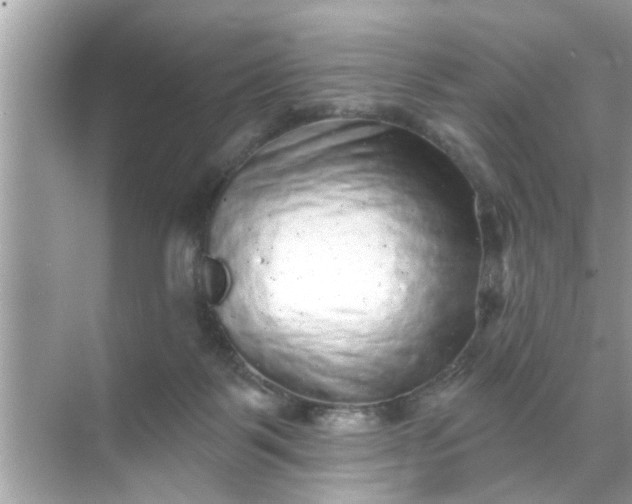 X0000070860123200606302056