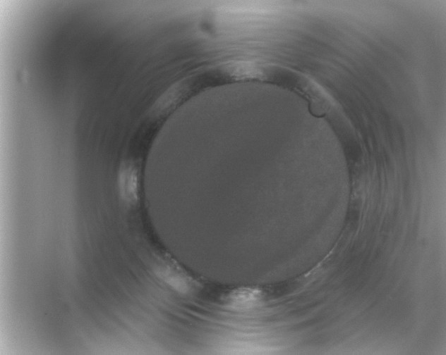 X0000070860124200606302056