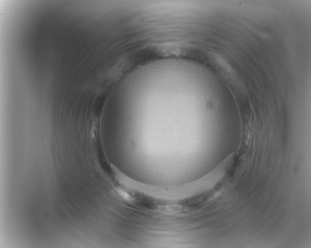 X0000070860125200606302056