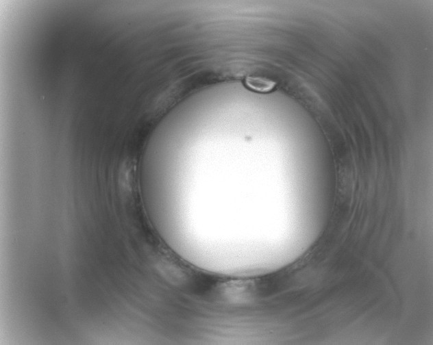 X0000070860126200606302056