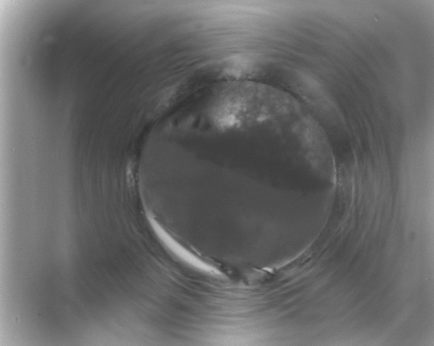 X0000070860127200606302056