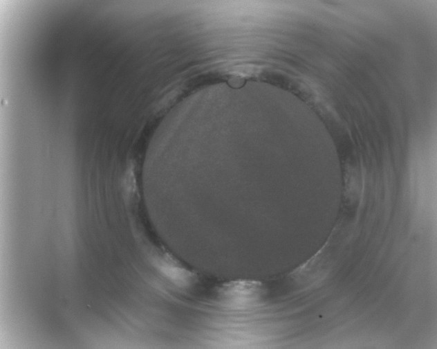 X0000070860128200606302056